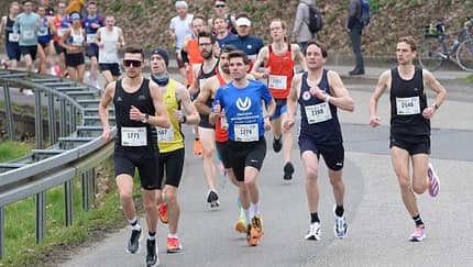 Bienwald-Marathon Kandel 2024