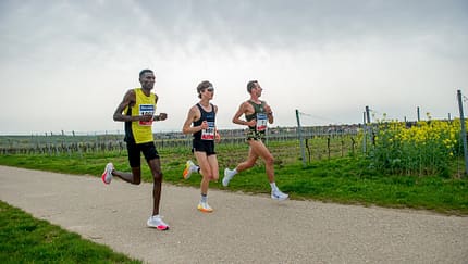 Marathon Deutsche Weinstraße Bockenheim 2024