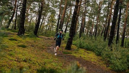 Rureifel Trail 2024