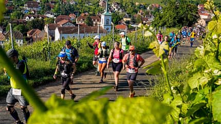 Trail Alsace Grand Est