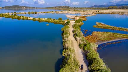 Navarino Challenge