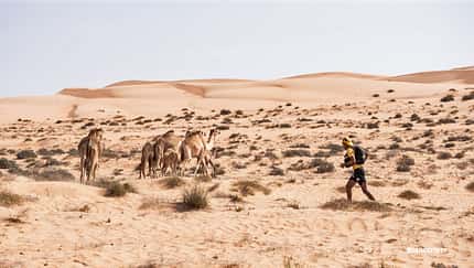 Oman Desert-Marathon