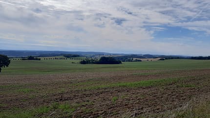 Städtelauf Plauen-Hof