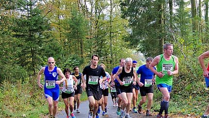 Rothaarsteig-Marathon 2014