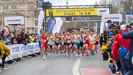 Citylauf Dresden 2025