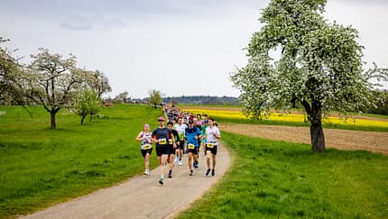 LIWA-LaufEvent Lichtenwald 2025