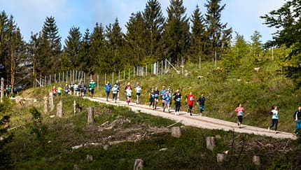 Rennsteiglauf Schmiedefeld 2025