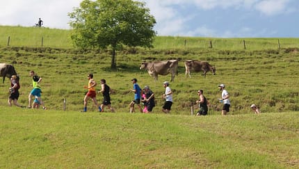 Swiss Trailrun Pilatus Kriens 2025