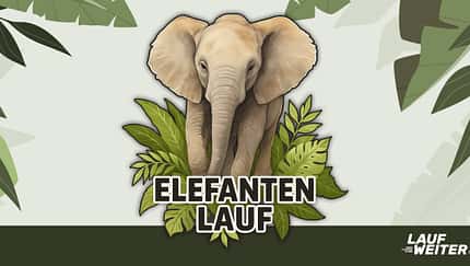 Virtueller Elefanten-Lauf