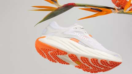 Merrell ProMorph