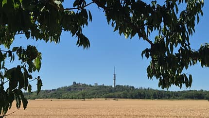 Saale-Kreislauf Morl