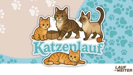 Virtueller Katzenlauf