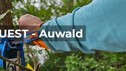 Auwald The QUEST Auwald The QUEST