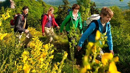 Bergstraße-Odenwald Walk-Trailrun Weinheim
