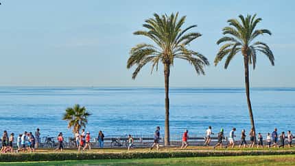 Palma Marathon Mallorca