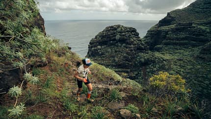 Marató dels Dements