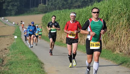 Kraichgaulauf Sinsheim: Anstieg bei km 14, Kraichgau-Landschaft