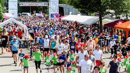 Weingartner Lebenslauf