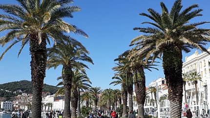 Split-Halbmarathon: Mediterranes Flair in Split