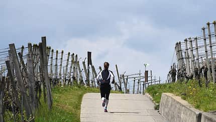 Rund 1.000 Höhenmeter gilt es beim Muttenz-Marathon zu bewältigen.