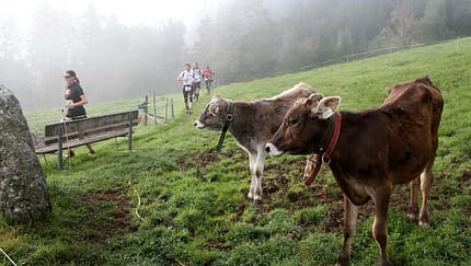 Tour de Tirol 2014 Pölven Trail