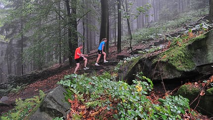 Trail-Marathon Heidelberg