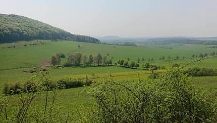 Dreienberg-Panoramalauf Friedewald: Idyllische Landschaften rund um den Dreienberg