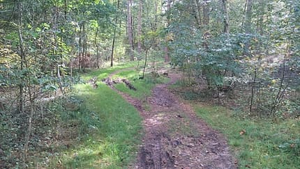 Süderelbe Cross