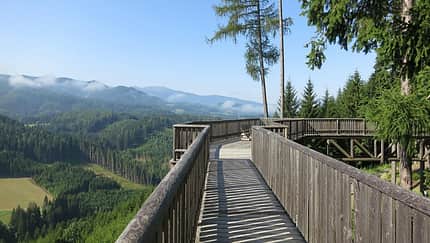 Der Wipfelwanderweglauf in St. Margarethen macht seinem Namen alle Ehre.