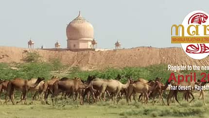 Maharaja Rajasthan Ultramarathon 2018