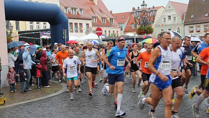 Wurzener Ringelnatzlauf