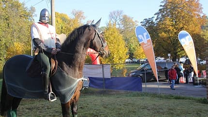 Ritter-Wormlitz-Lauf Großräschen