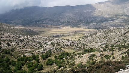 Psiloritis Race Kreta