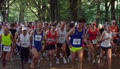 Hans Hägele Lauf 420 x 300