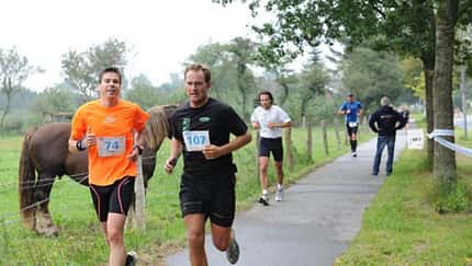 Hadewitter Sommerlauf