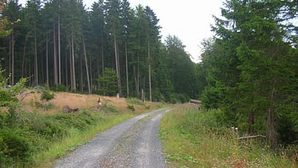 Bilstein-Marathon 2011