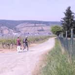 Rotwein-Marathon