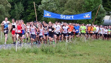 15. Malberglauf 2014