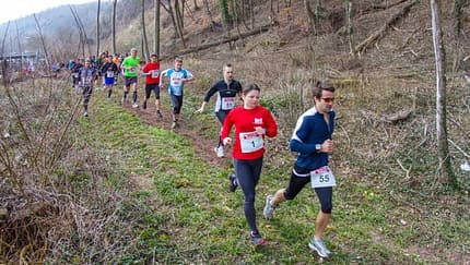 Neckar Center Off Road Run 2013
