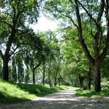 KurparkLauf! Bad Hall 154
