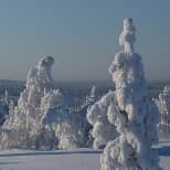 Rovaniemi 154