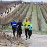 Freinsheimer Volkslauf 154