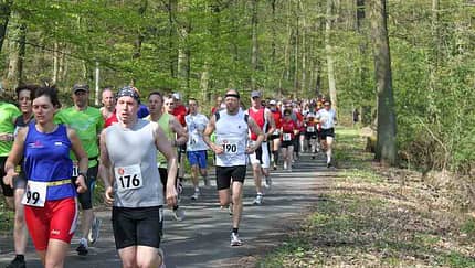 Skiwiesen-Lauf 2014