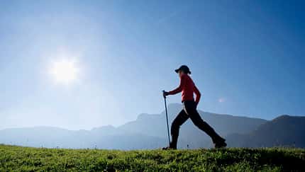 So finden Sie den richtigen Walking-Stock