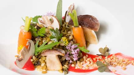 Getreide-Cassoulet mit Pilzen