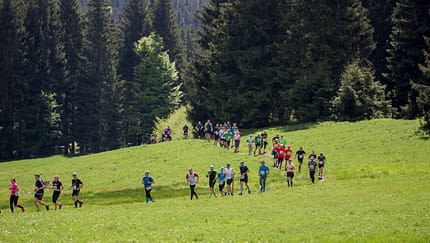 Landschaftsläufe