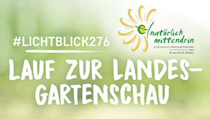 Lauf zur Landesgartenschau Lichtenau
