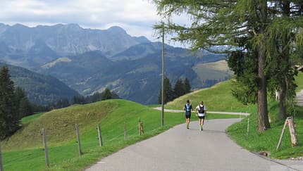 Trans Swiss Run