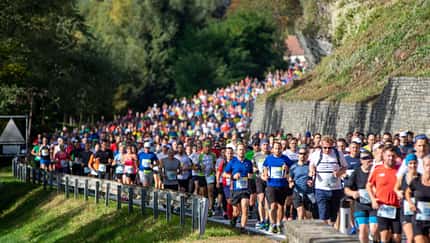 Wachau-Marathon 2019