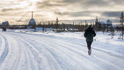 Polar Bear-Marathon Churchill 2019